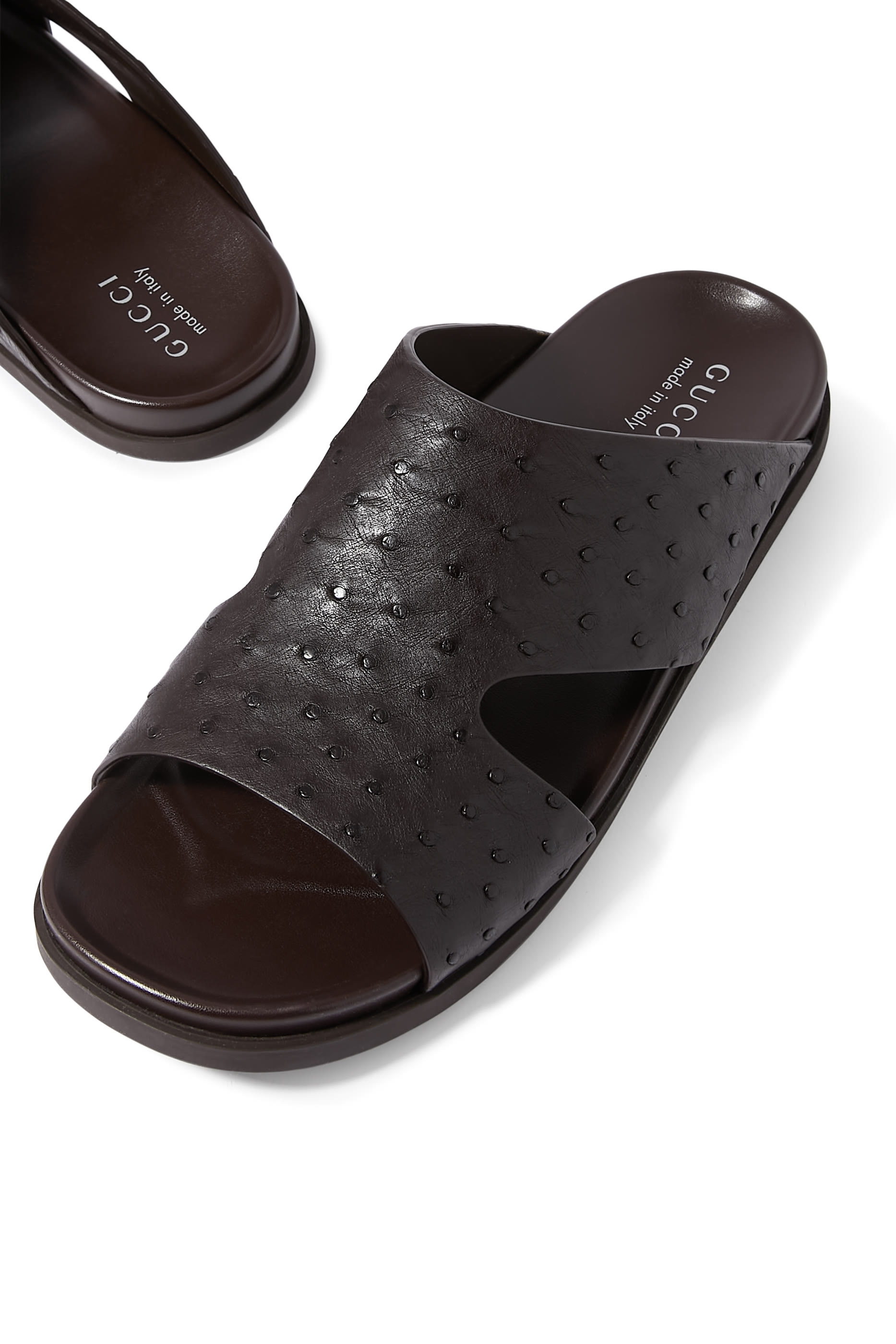 Rhein Open Slides