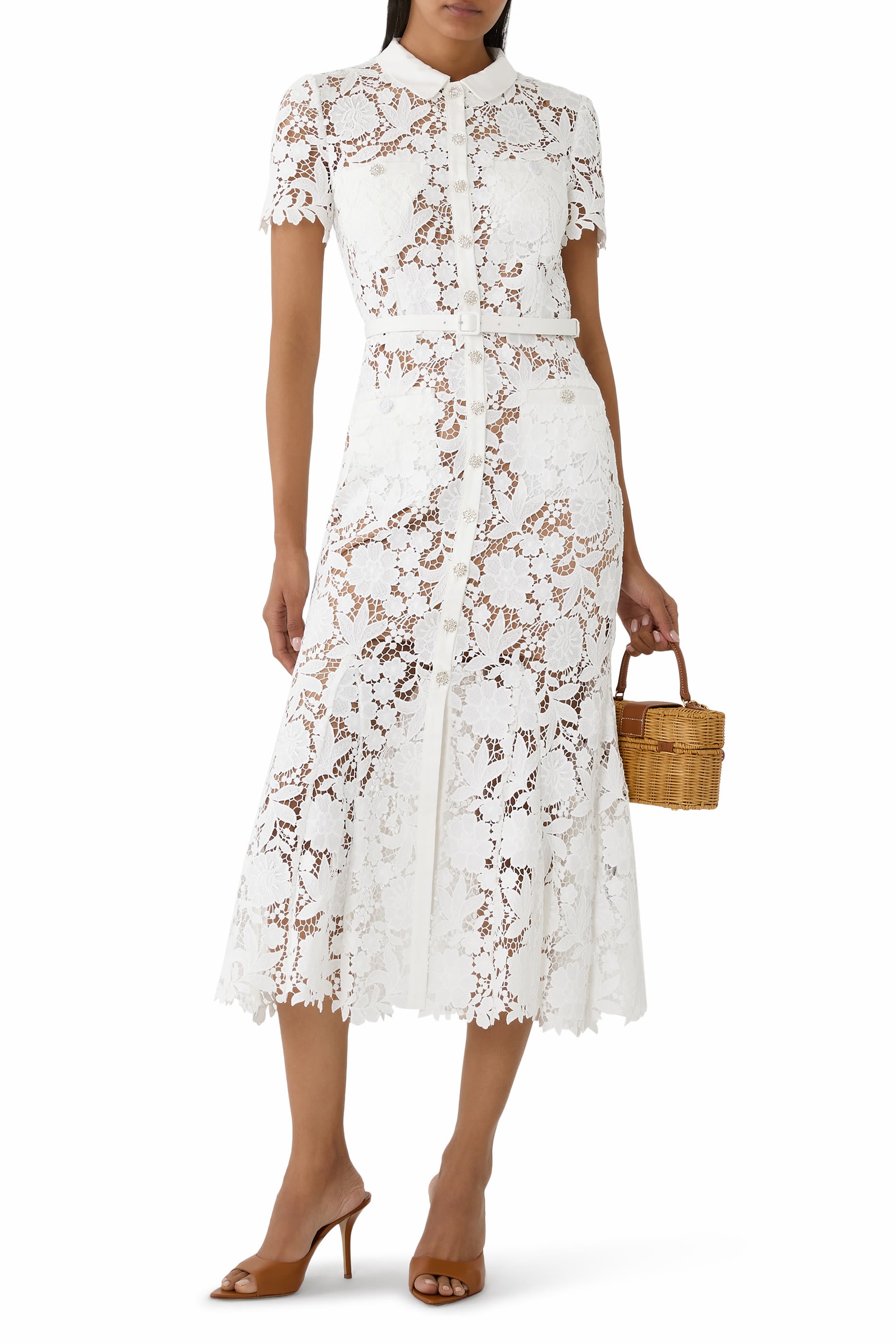 Lace Collared Midi Dress